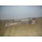 4D0501203G Полуось задняя VAG A8 [4D] (1999 - 2002)