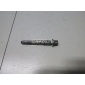 51217069748 Болт крепления дверной петли BMW Countryman R60 (2010 - 2016)
