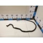 3M5H8C012ML Патрубок Ford C-MAX (2003 - 2010)