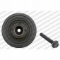 DPF352.03K1 шкив snr