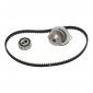 530025230 двигатель , водяной насос ina peugeot 306 7b , n3 , n5